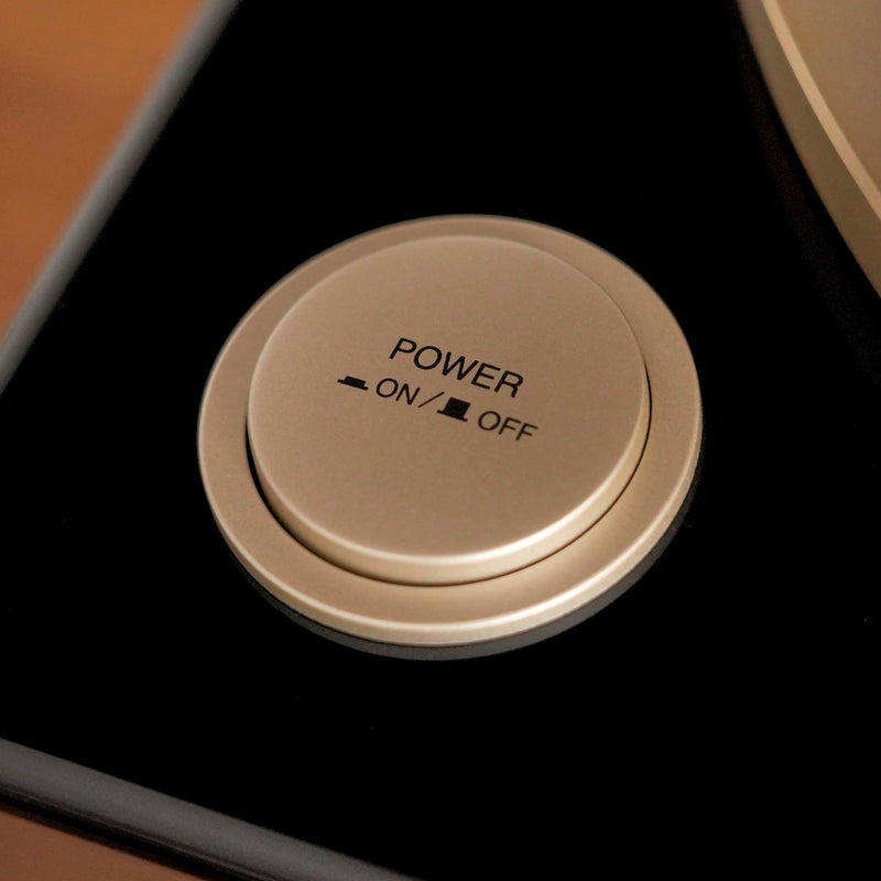 Denon DP-A100 100th Anniversary Turntable