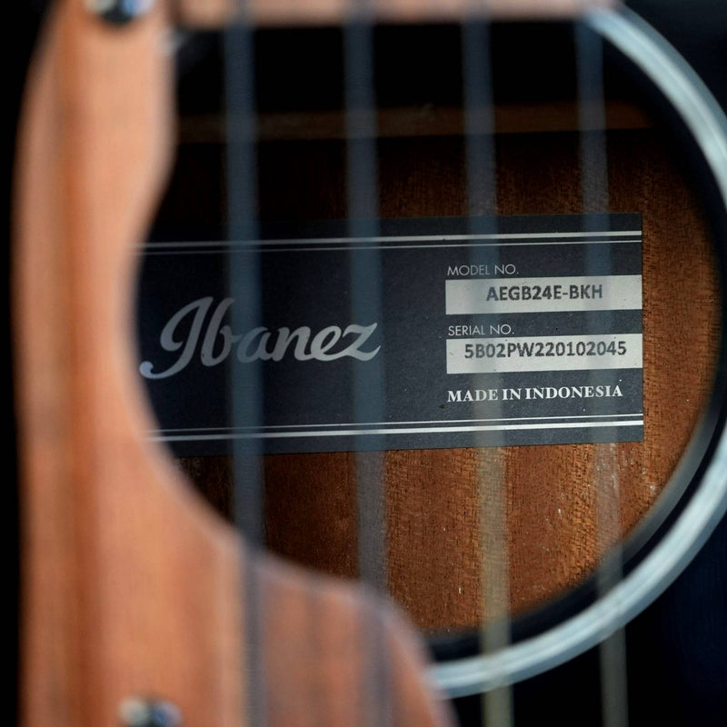 Ibanez Acoustic Bass Guitar