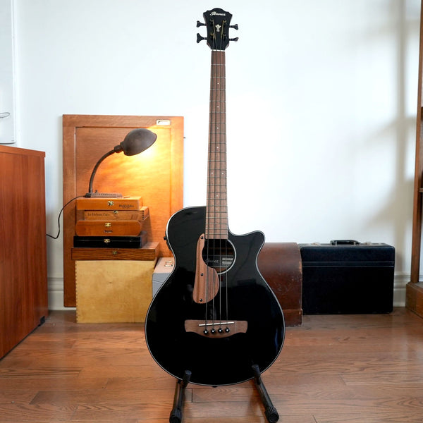 Ibanez Acoustic Bass Guitar