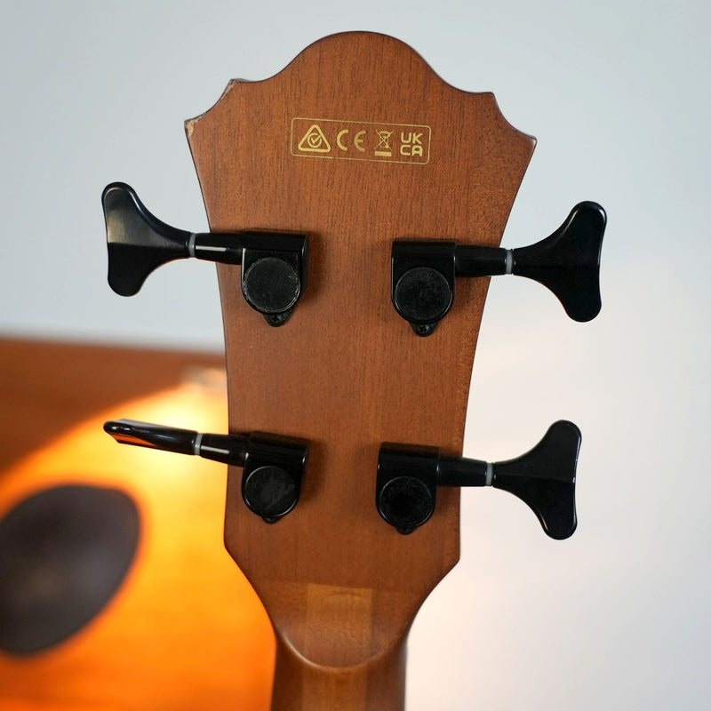 Ibanez Acoustic Bass Guitar