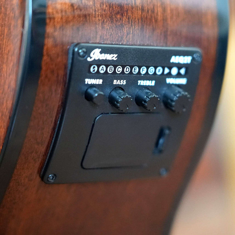 Ibanez Acoustic Bass Guitar