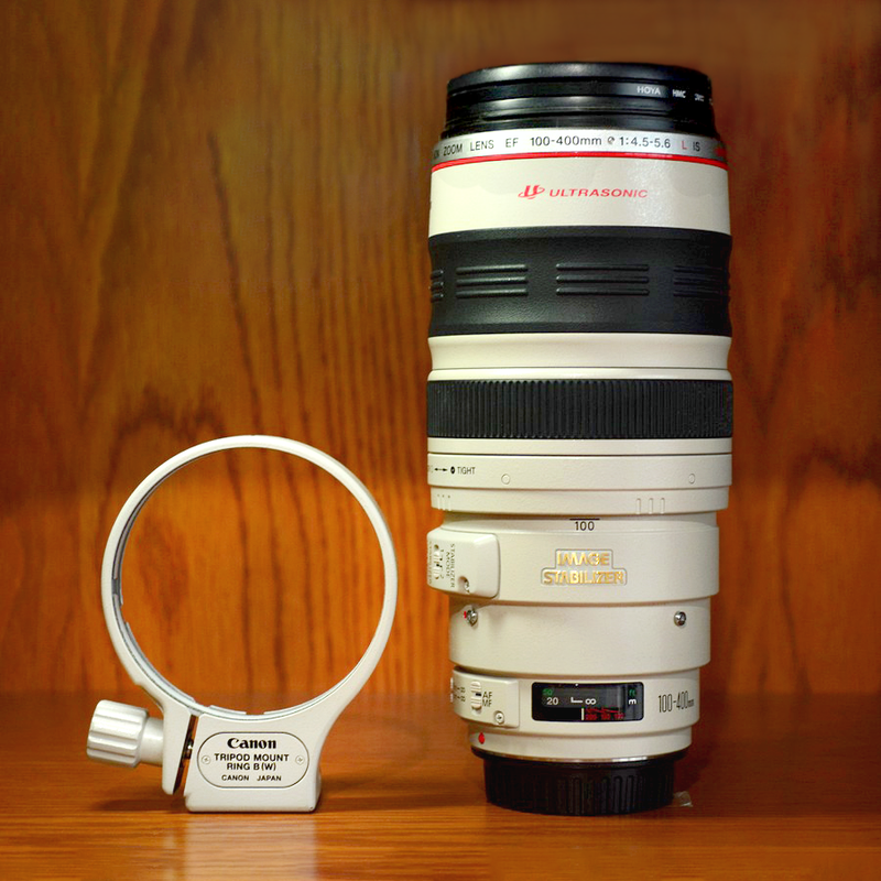 Canon EF 100-400mm L Lens