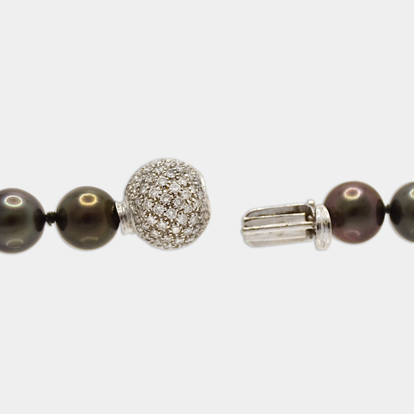 Tahitian Pearl Necklace