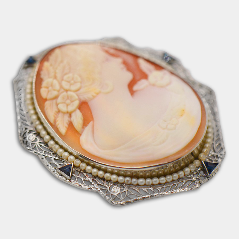 Cameo Brooch-Pendant